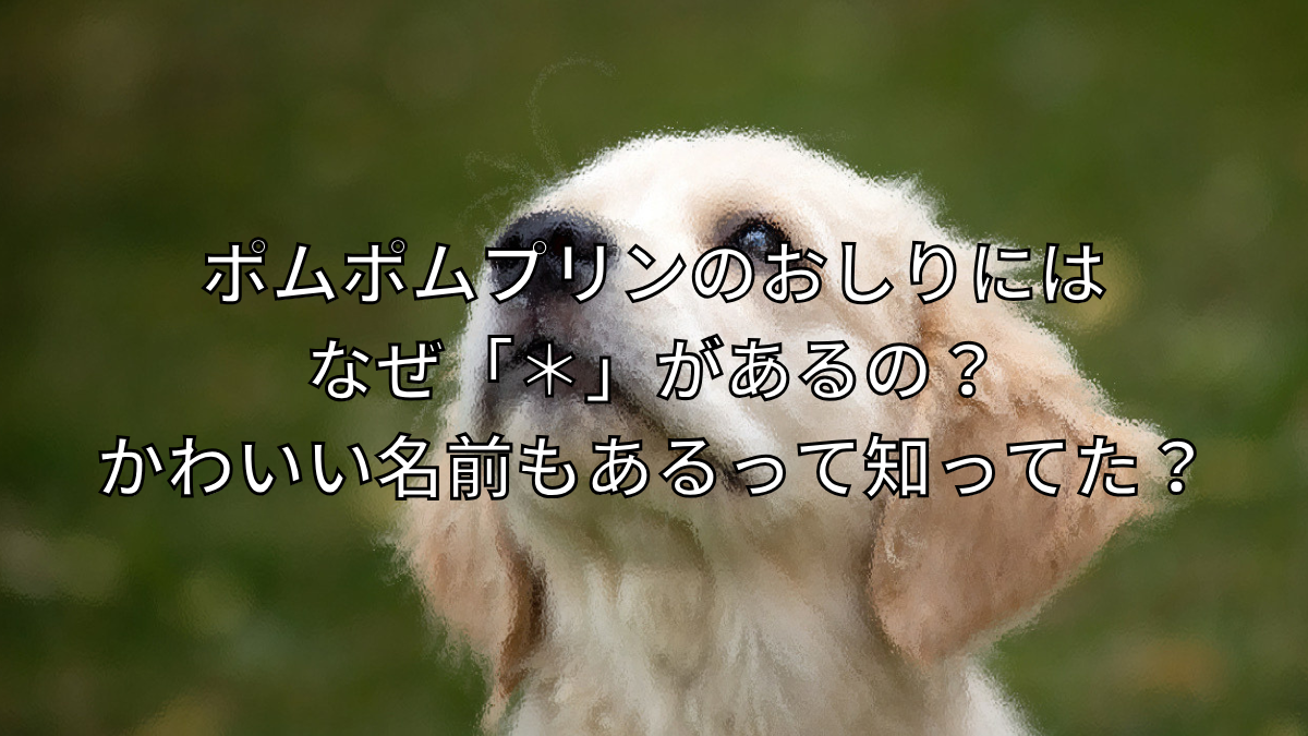 ポムポムプリンのおしりにはなぜ「＊」があるの？かわいい名前もあるって知ってた？